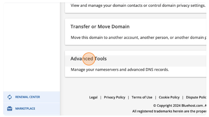 Blue Host DNS 2