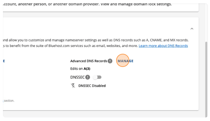 Blue Host DNS 3