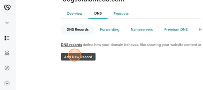 GoDaddy DNS 4