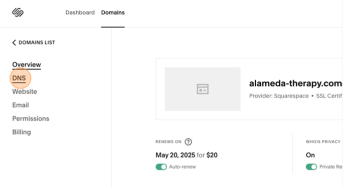 Squarespace DNS 3